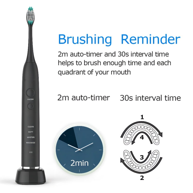 USB Charging Adults Electric Sonic Toothbrush with 8 Brush Heads(Black) - Toothbrushes by buy2fix | Online Shopping UK | buy2fix