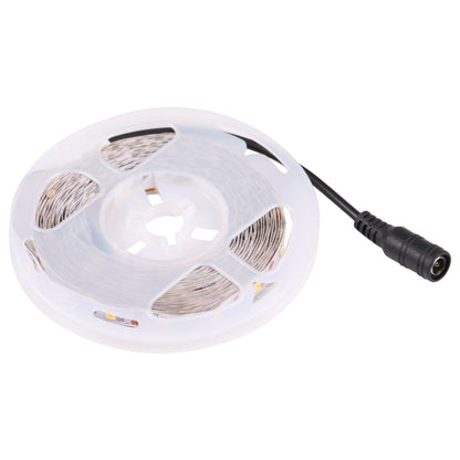 Bare Board 2835 SMD Dimmable White Light / Warm Light LED Rope Light, 60 LED/m, Length: 5m, 12V 2A 100-240V(EU Plug) - Bare Board Light by buy2fix | Online Shopping UK | buy2fix