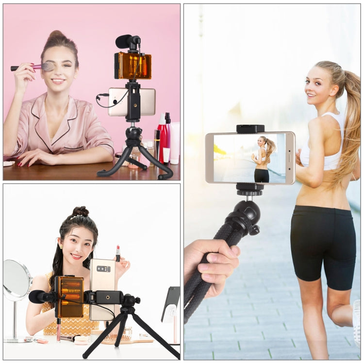 PULUZ  4 in 1 Vlogging Live Mini Octopus Bracket Kit + Studio Light + Microphone + Phone Clamp Kits(Black) - Stand by PULUZ | Online Shopping UK | buy2fix