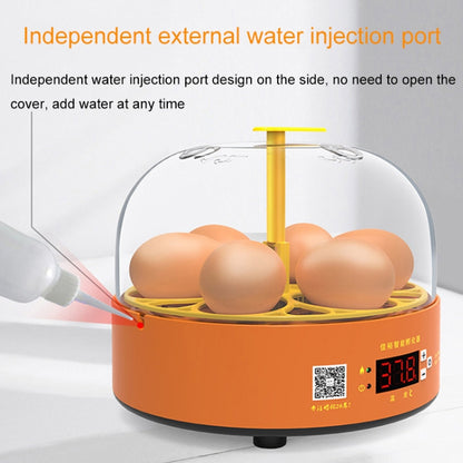 6-Eggs Small Household Experimental Children Smart Chicken Incubators, Spec: Manual US Plug - Incubators by buy2fix | Online Shopping UK | buy2fix