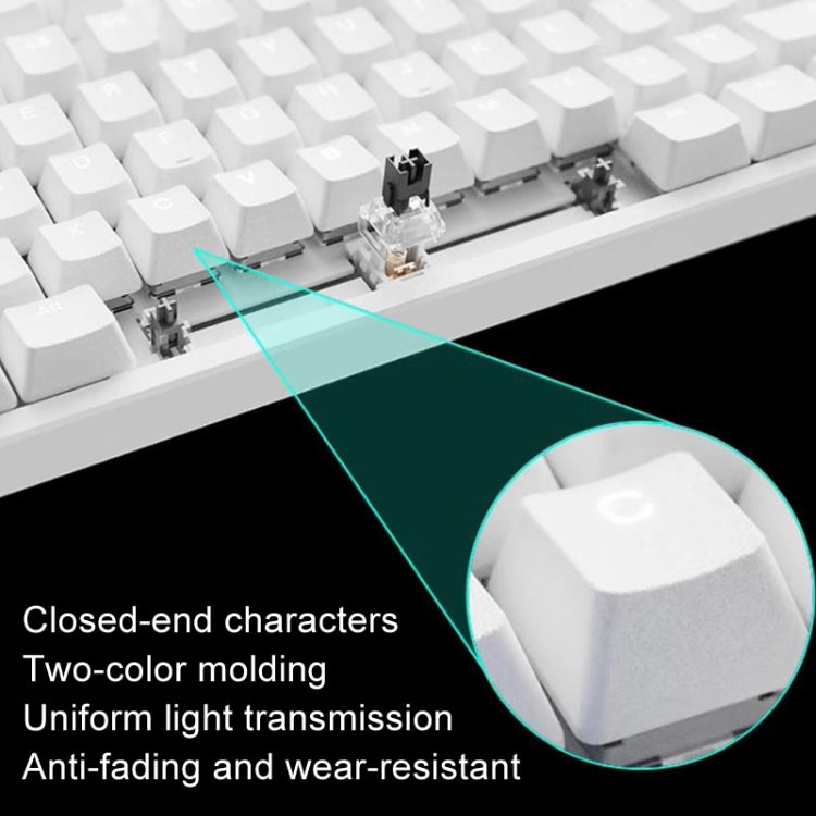 Rapoo V500DIY Mechanical Keyboard With Light Effect 18 Keys Hot Swap Fast Silver Shaft Desktop Laptop Wired Keyboard(White) - Wired Keyboard by Rapoo | Online Shopping UK | buy2fix