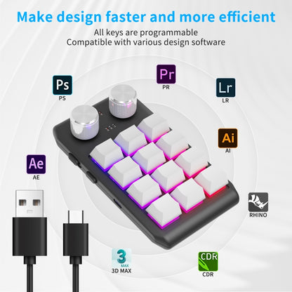 12 Keys Wired With RGB Lights Customized Office Keyboard Shortcut Keys Computer Audio Volume Control(White) - Mini Keyboard by buy2fix | Online Shopping UK | buy2fix