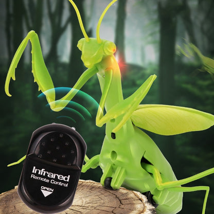 6661 Infrared Sensor Remote Control Simulated Praying Mantis Creative Children Electric Tricky Toy Model -  by buy2fix | Online Shopping UK | buy2fix