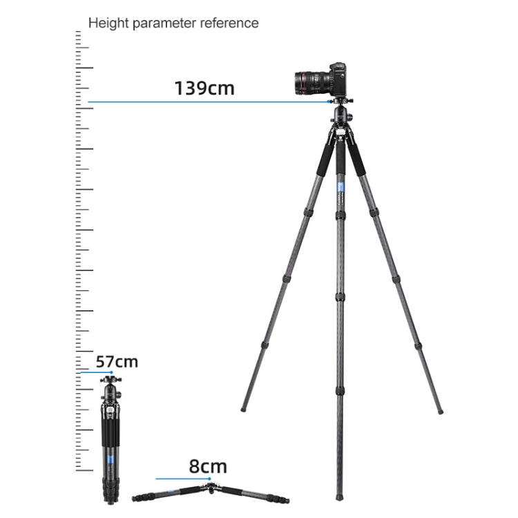 BEXIN RC334 Portable Collapsible Carbon Fiber Camera Tripod - Camera Accessories by BEXIN | Online Shopping UK | buy2fix