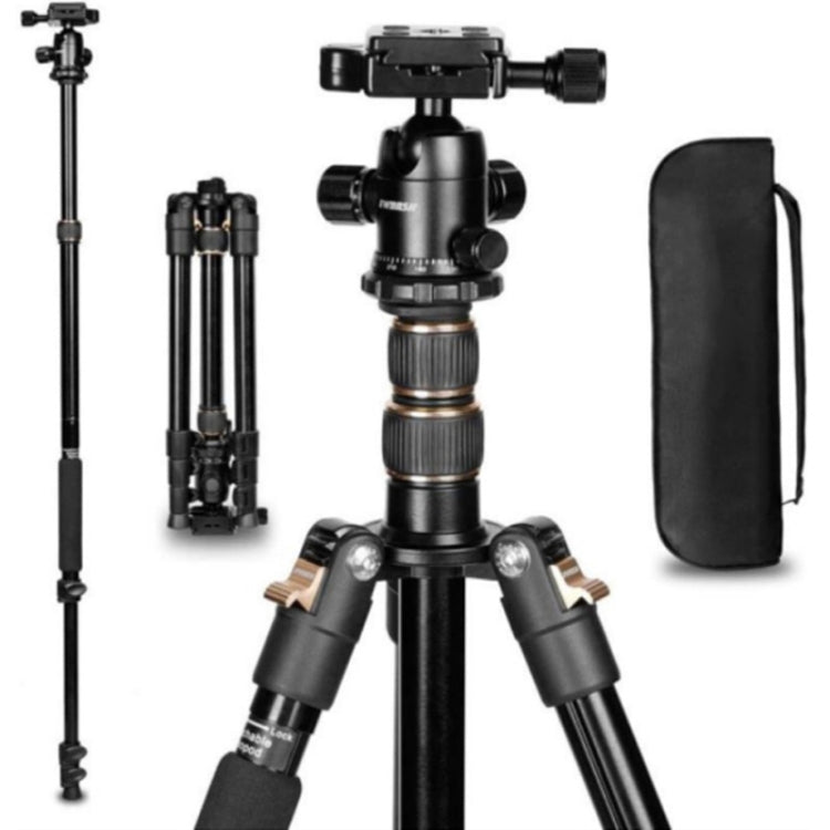 TRIOPO K2508S+B1S Adjustable Portable  Aluminum Alloy Tripod with Ball Head for SLR Camera(Gold) - Camera Accessories by TRIOPO | Online Shopping UK | buy2fix