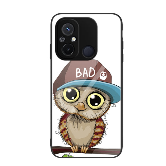 For Xiaomi Redmi 12C Colorful Painted Glass Phone Case(Owl) - Xiaomi Cases by buy2fix | Online Shopping UK | buy2fix