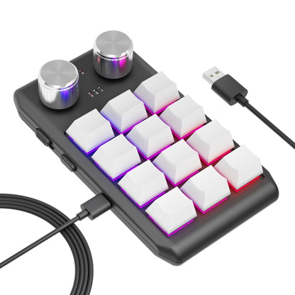 USB Wired 12KV2 MOLD Mini Mechanical 12 Keys 2 Knob Custom Programming Keyboard(White) - Mini Keyboard by buy2fix | Online Shopping UK | buy2fix