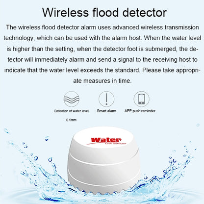 DY-SQ100B Water Leakage Detector with Two Sensors(White) - Security by buy2fix | Online Shopping UK | buy2fix