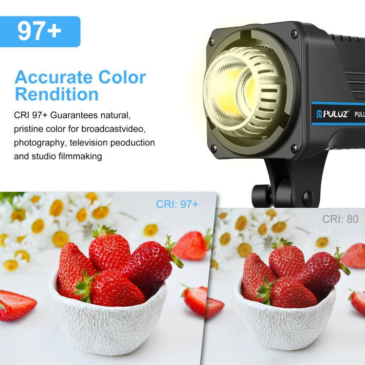 PULUZ 220V 150W 3200K-5600K Studio Video Light + 2.8m Light Holder + 65cm Foldable Lantern Softbox Photography Kit(EU Plug) - Camera Accessories by PULUZ | Online Shopping UK | buy2fix