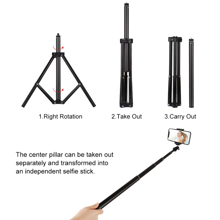 PULUZ 1.65m Height Tripod Mount Holder for Vlogging Video Light  Live Broadcast Kits(Black) - Tripods by PULUZ | Online Shopping UK | buy2fix