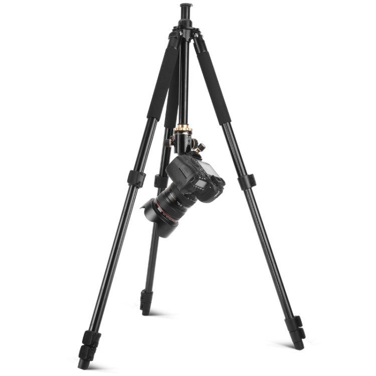 Q338 4-Section Folding Legs Live Broadcast Aluminum Alloy Tripod Mount With Ball Head - Camera Accessories by buy2fix | Online Shopping UK | buy2fix