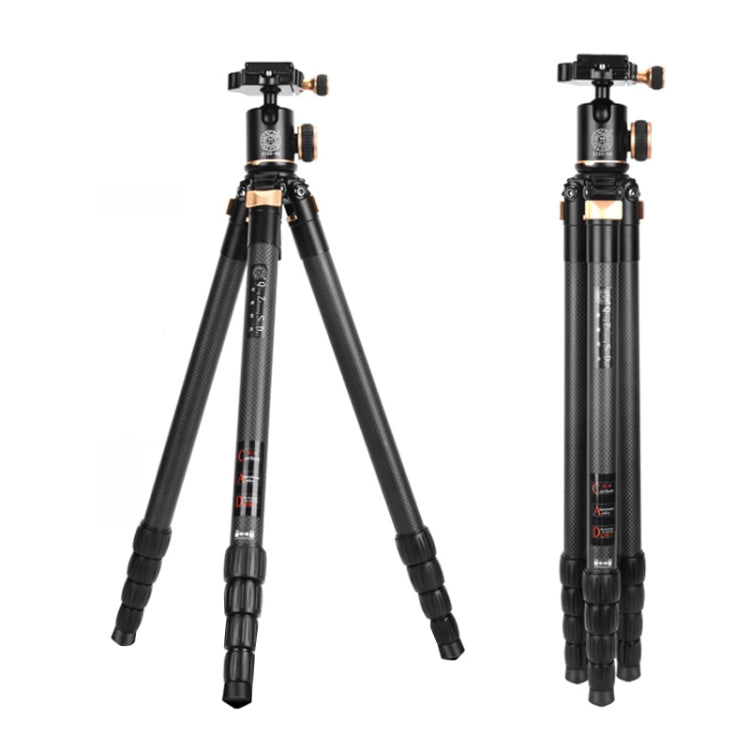 QingZhuangShiDai Q8805C CNC Camera SLR Carbon Fiber Tripod Without Central Axis(Black Gold) - Tripods by QingZhuangShiDai | Online Shopping UK | buy2fix